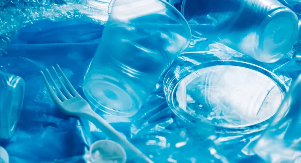 Plastik Poşetler Doğada Kaç Yılda Yok Olur?